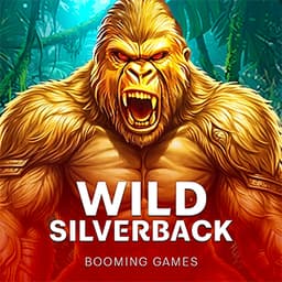  Wild Silverback